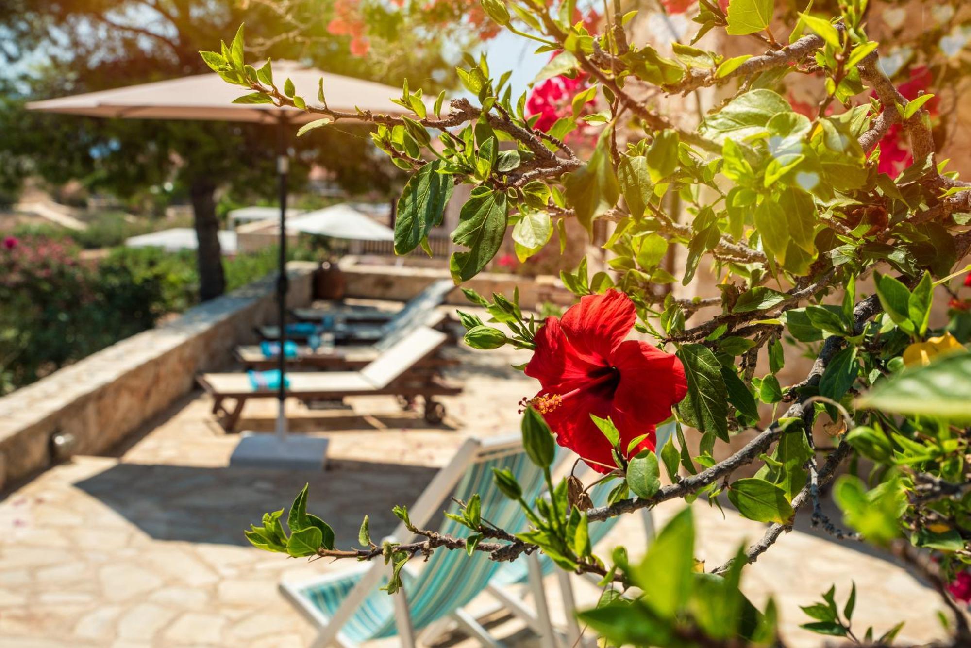 Villa Ftenagia Chalki Town Luaran gambar